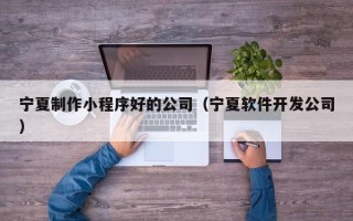 桂林宁夏制作小程序好的公司（宁夏软件开发公司）